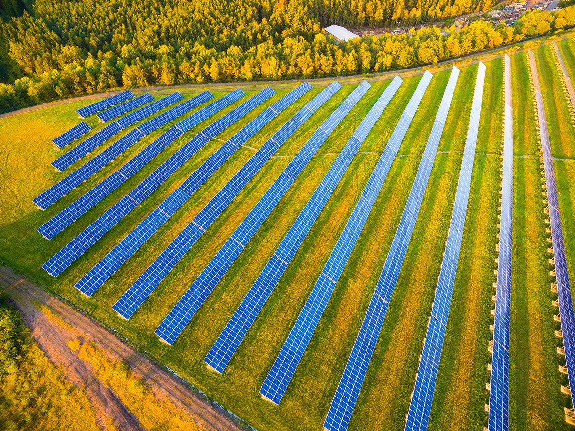 a field of solar panels